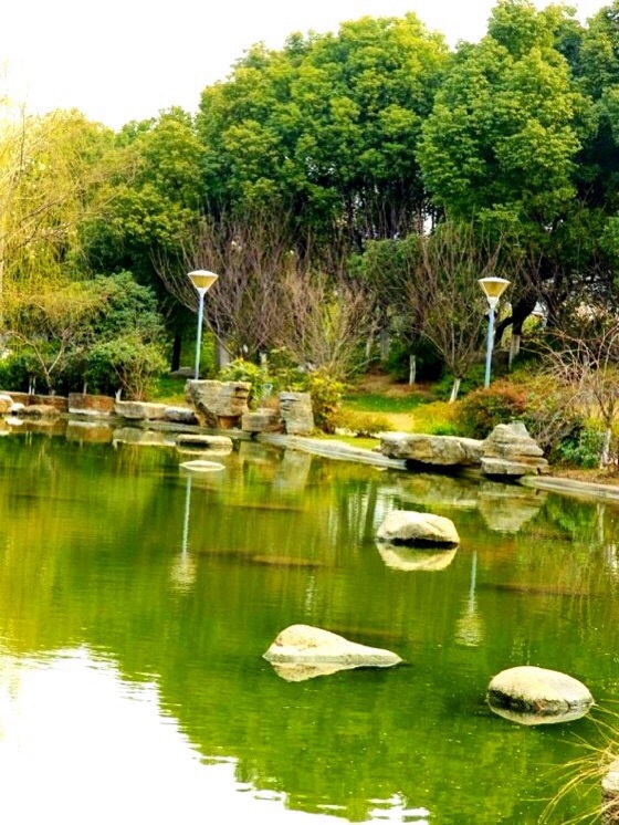 公园一角风景图片 第4张