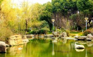 公园一角风景图片 第6张