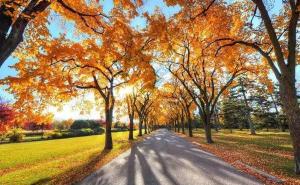 秋天公园一角图片 第2张