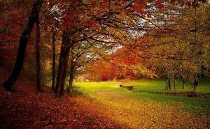 秋天公园一角图片 第5张