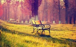 秋天公园一角图片 第6张