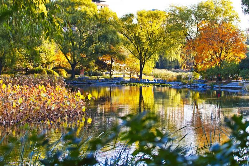 秋天公园一角图片 第9张