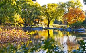 秋天公园一角图片 第9张