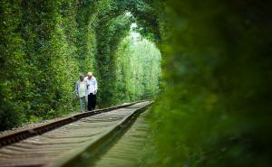 森林唯美爱情图片