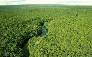 亚马逊原始森林图片 第5张