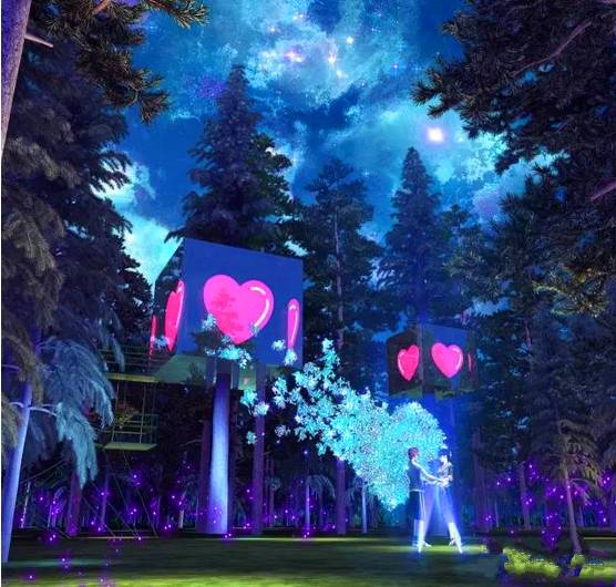 夜晚梦幻森林图片 第5张