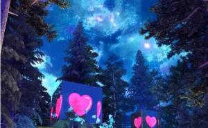 夜晚梦幻森林图片 第5张