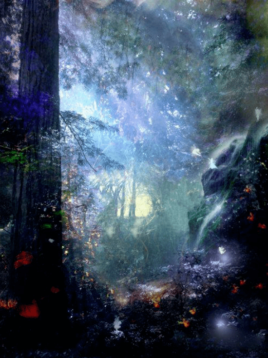 夜晚梦幻森林图片 第6张