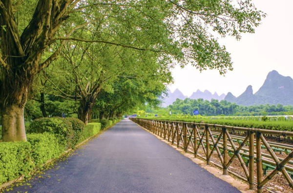 园林道路图片 第2张