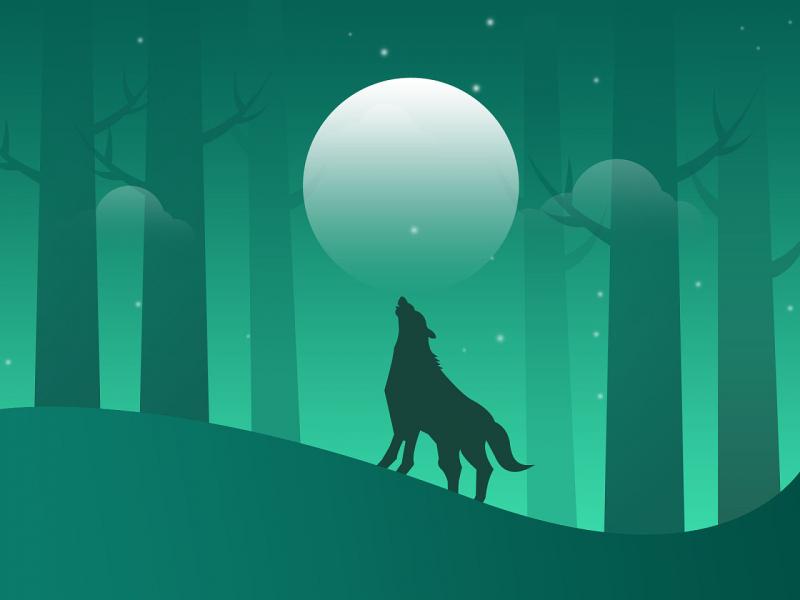 最美狼啸月图片 第1张