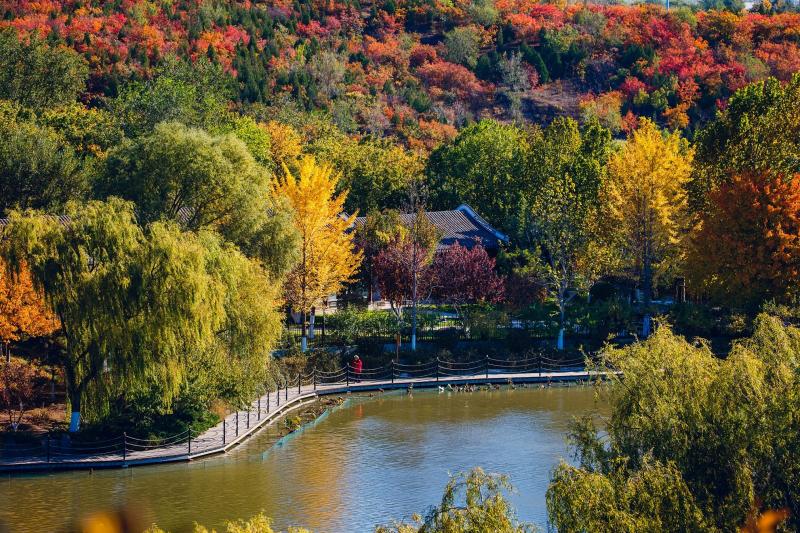 北宫森林公园图片 第1张