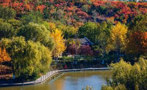 北宫森林公园图片