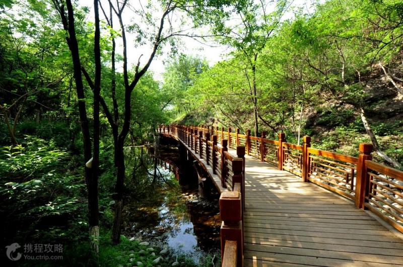 北宫森林公园图片 第2张