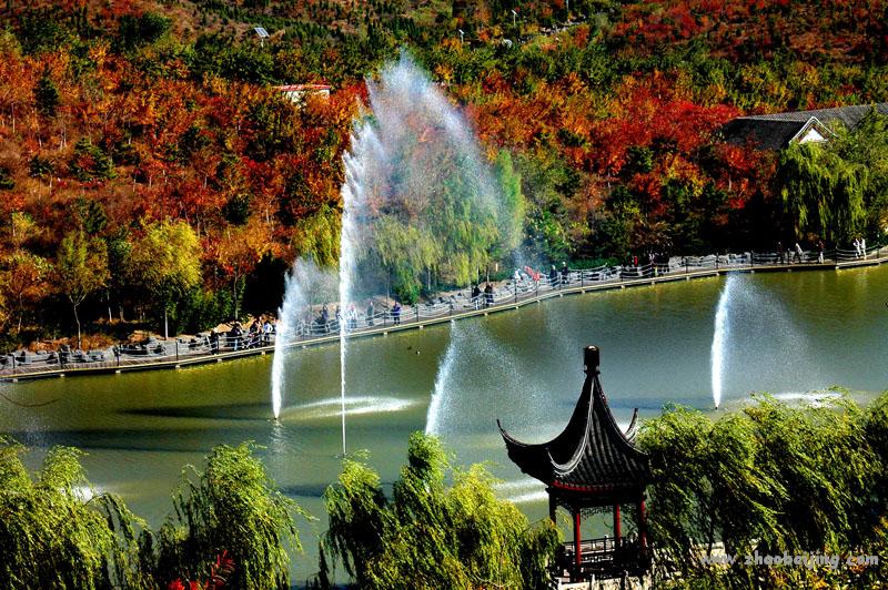 北宫森林公园图片 第5张