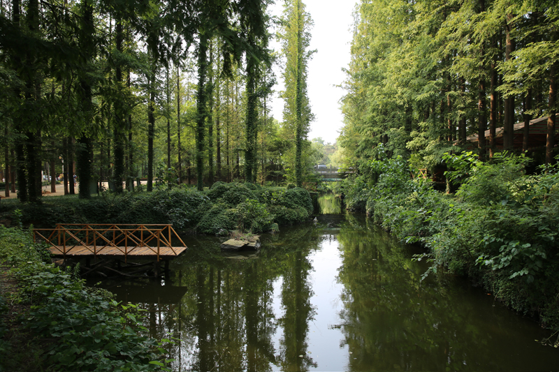 日照森林公园图片 第1张