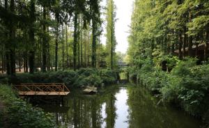 日照森林公园图片