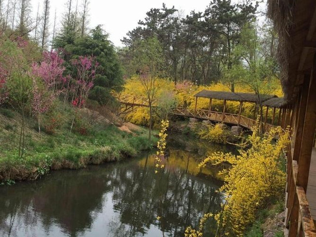 日照森林公园图片 第3张