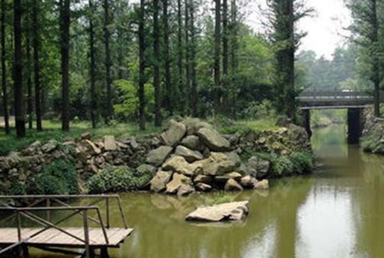 日照森林公园图片 第4张