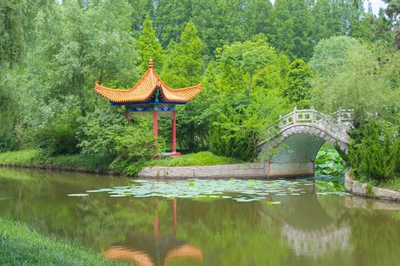 日照森林公园图片 第7张