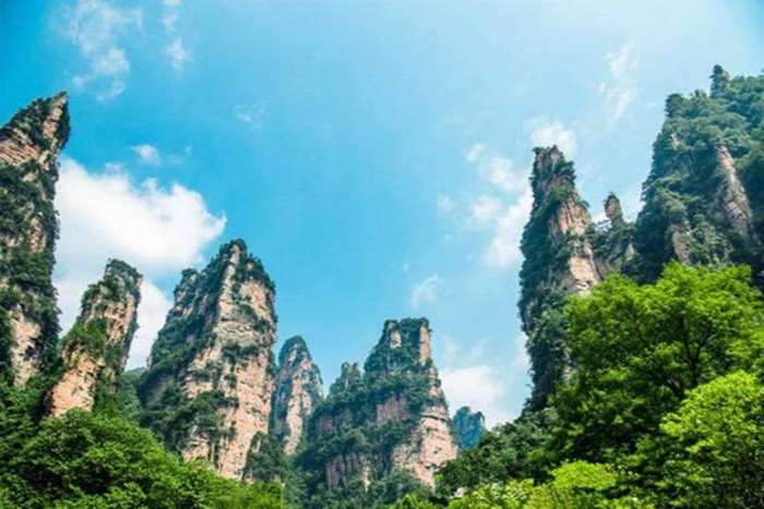 张家界国家森林公园图片 第16张