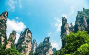 张家界国家森林公园图片 第16张