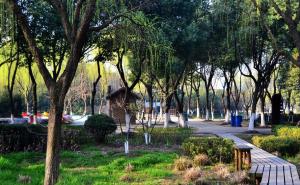 昆山森林公园图片