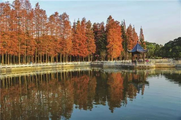 福州森林公园图片风景图片 第4张