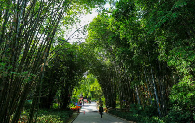 福州森林公园图片风景图片 第2张