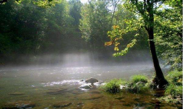 东北大兴安岭原始森林图片 第4张