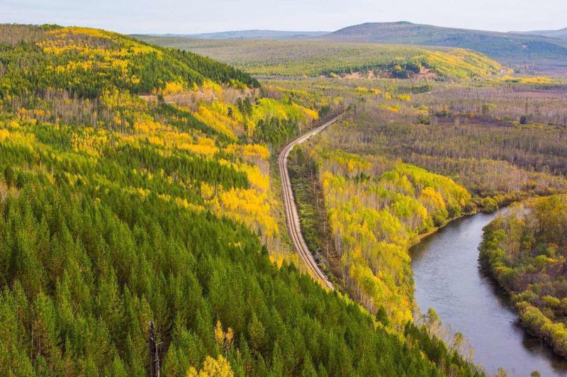 东北大兴安岭原始森林图片 第3张