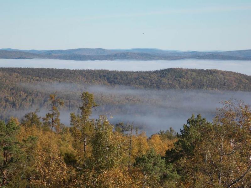 东北大兴安岭原始森林图片 第7张