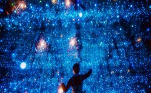 梦幻森林萤火虫图片 第5张