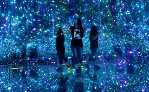 梦幻森林萤火虫图片 第6张