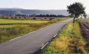 乡村道路图片 第2张