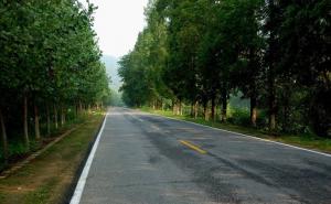 乡村道路图片