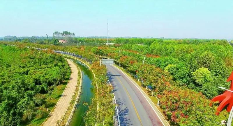 乡村道路图片 第6张