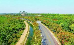 乡村道路图片 第6张