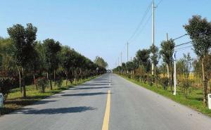 乡村道路图片 第4张