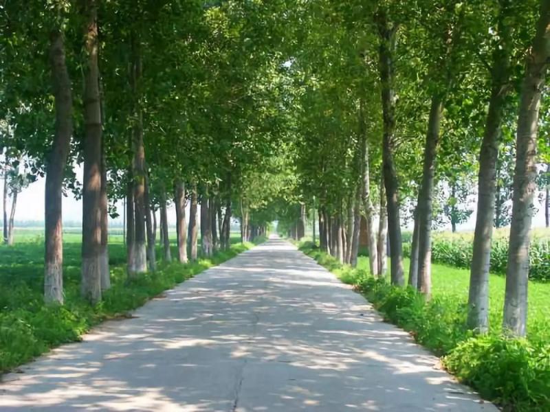 乡村道路图片 第3张