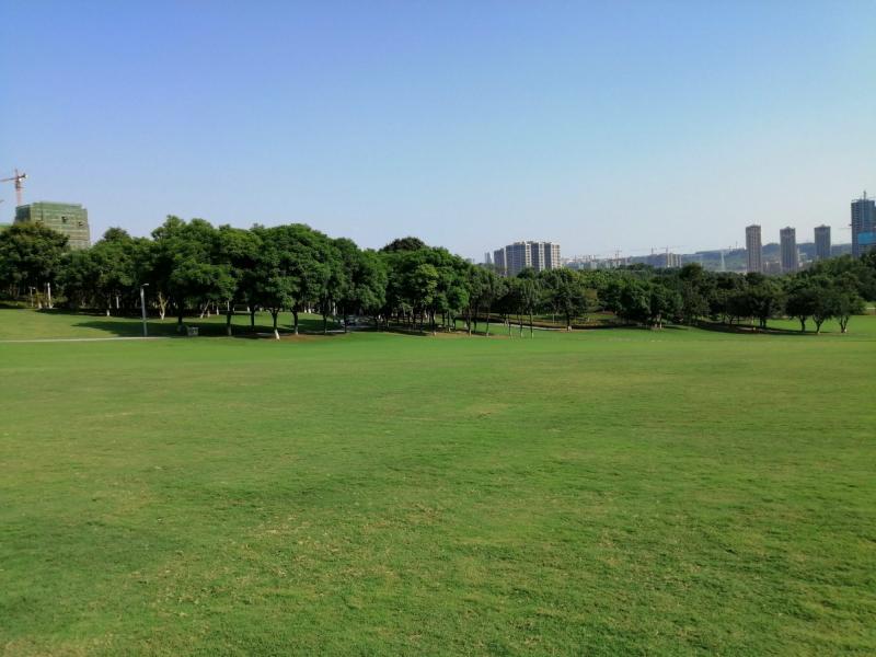 公园草坪图片 第2张