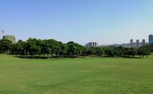 公园草坪图片 第2张