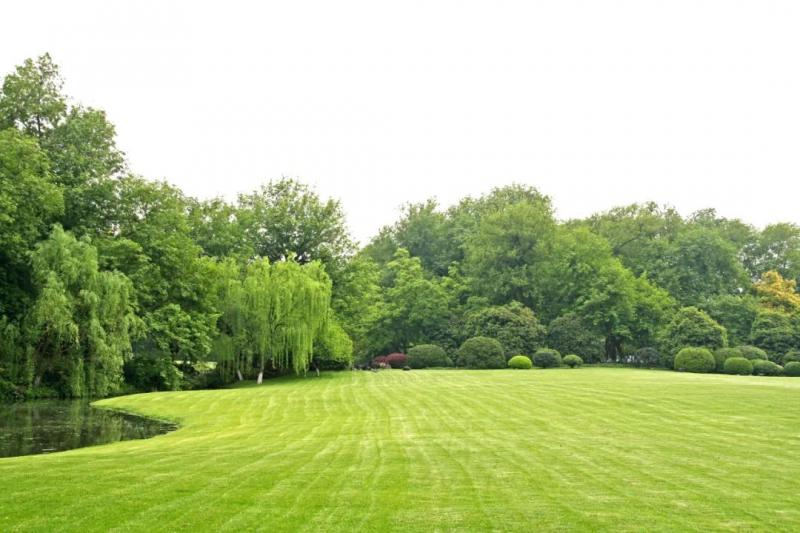 公园草坪图片 第1张