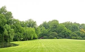 公园草坪图片 第1张