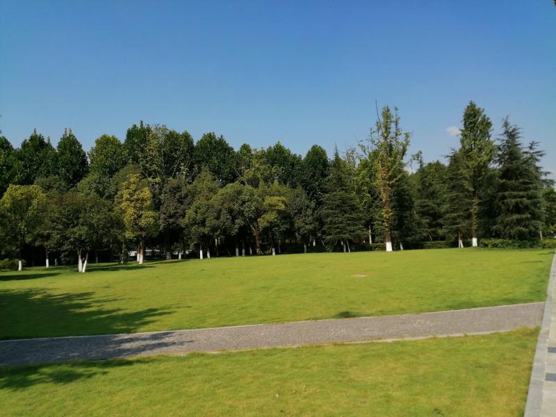 公园草坪图片 第3张