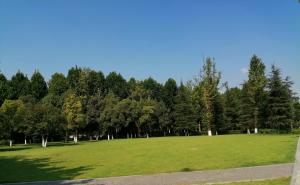 公园草坪图片 第3张