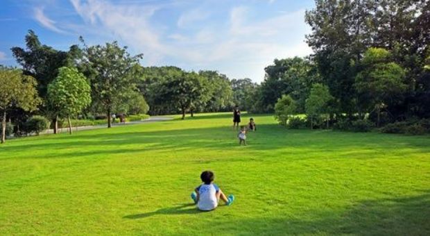 公园草坪图片 第4张