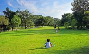 公园草坪图片 第4张
