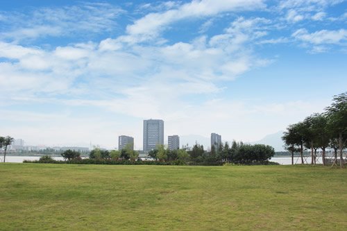 公园草坪图片 第5张