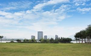 公园草坪图片 第5张