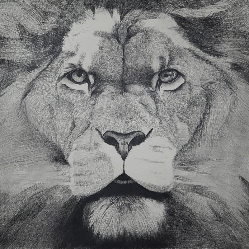 狮子素描图片 第9张